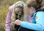 IMG_1943 (1280x853).jpg (75187 bytes)